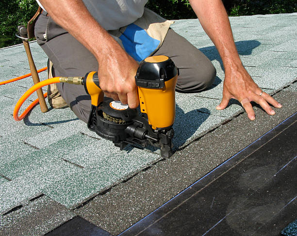 Best New Roof Installation  in New Port Richey, FL