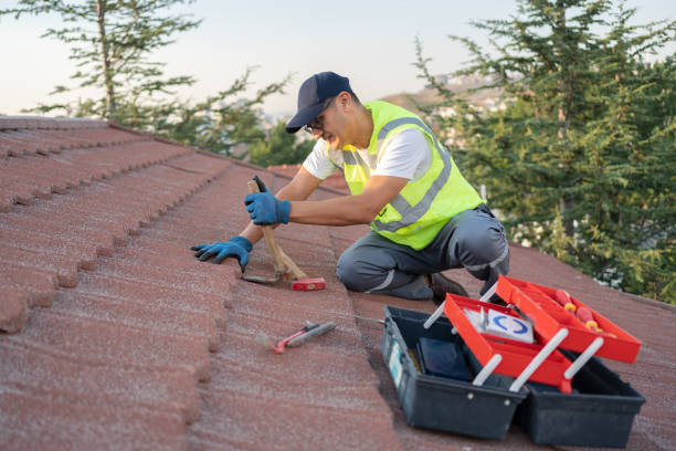 Best Roof Waterproofing Services  in New Port Richey, FL