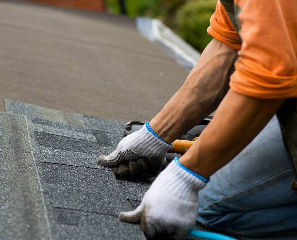 Quick and Trustworthy Emergency Roof Repair Services in New Port Richey, FL