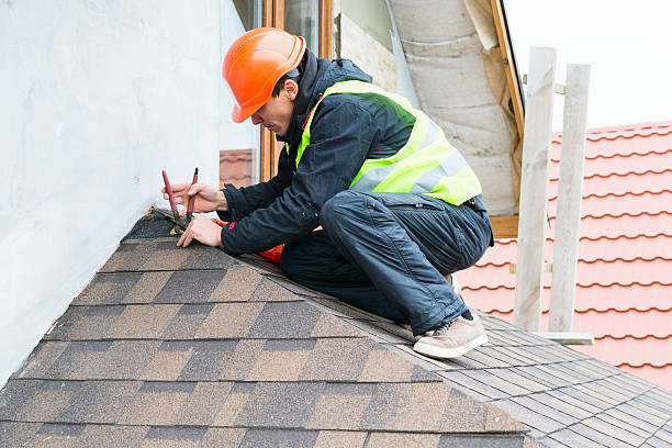 Best Best Roofing Contractors  in New Port Richey, FL